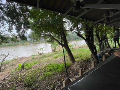 เลิศรส (ใต้ร่มมะเฟือง)