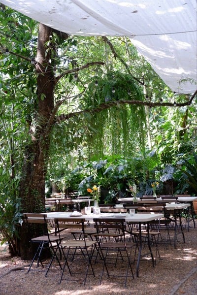 บรรยากาศ Little Tree Garden