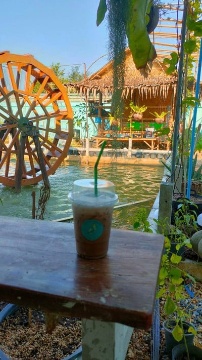 ซ็อกโกแลตมิ้นท์เย็น