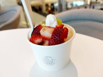 ไอศครีมโยเกิร์ต