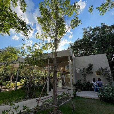 Little Stove - Coffee Bakery Brunch -