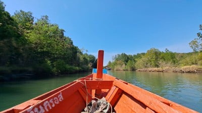 ทุ่งโปรงทอง