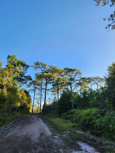 บรรยากาศ ผาหมากดูก