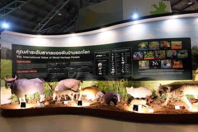 บรรยากาศ