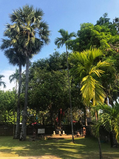 บรรยากาศ
