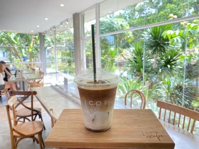 คอฟแอนด์คาว ธรรมศาสตร์รังสิต