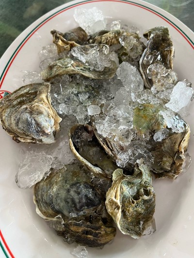 หอยนางรม