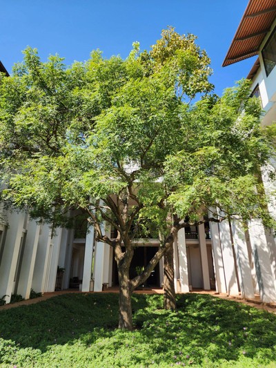 บริเวณโดยรอบ