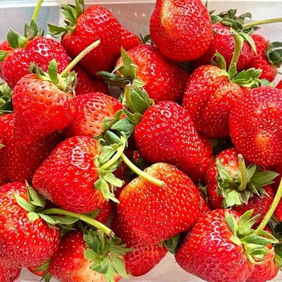 MENU_1005001HM_1673076902