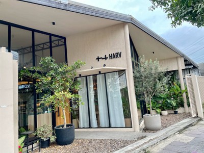 ☕️ Harvkind @เทียนทะเล