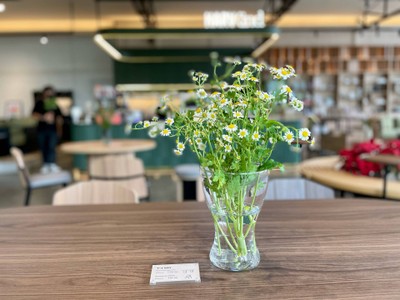 🛋️ Bole Capsule Table. (Price 19,990 Baht)