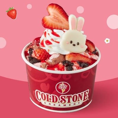 ช็อกโกแลต แรบบิท สตรอว์เบอร์รี่ ไอศกรีม 170 g.