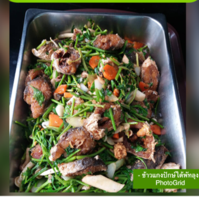 MENU_809774Rt_1674046679