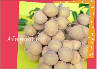 ลำใยlสายพันธุ์เพชรน้ำเอก