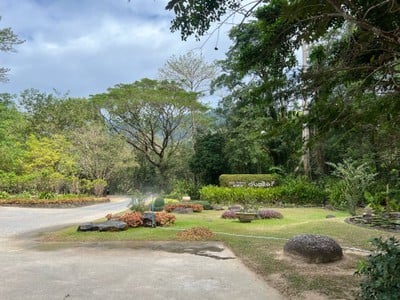 วังตะไคร้