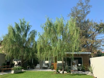 Acre Neighborhood Café .