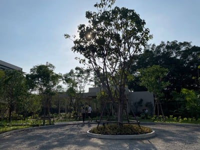 Little Stove - Coffee Bakery Brunch -