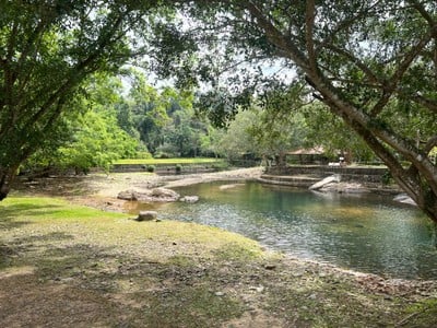 วังตะไคร้