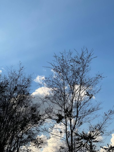 บริเวณโดยรอบ