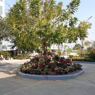 บริเวณโดยรอบ