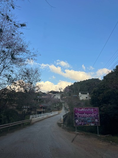 บริเวณโดยรอบ