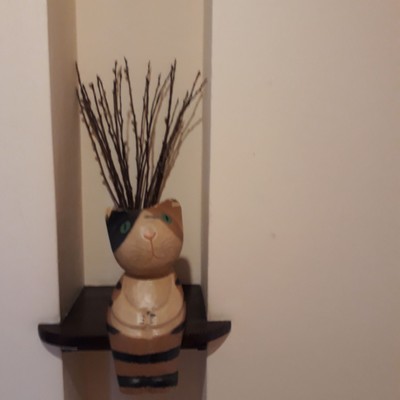 บริเวณโดยรอบ