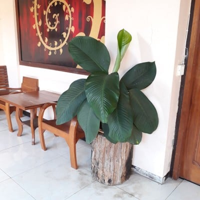 สิ่งอำนวยความสะดวก/กิจกรรม