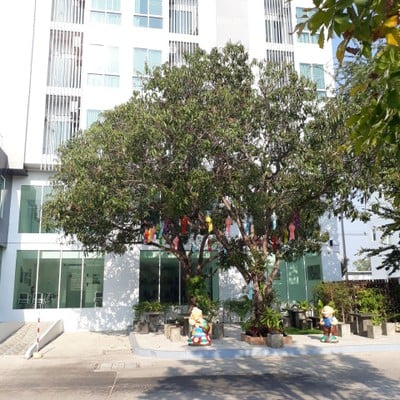 บริเวณโดยรอบ