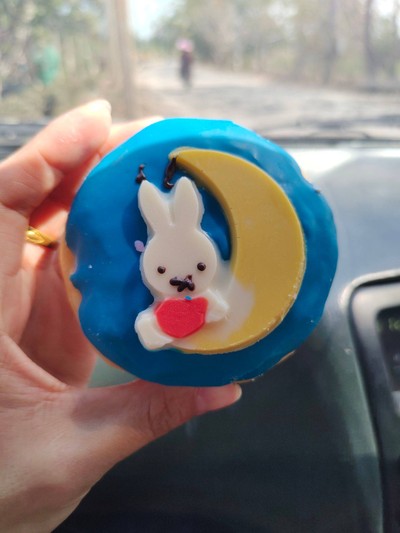 มิฟฟี่ ออน เดอะ มูน