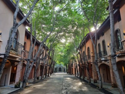 หมีกอดหมอน