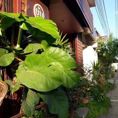 บริเวณโดยรอบ