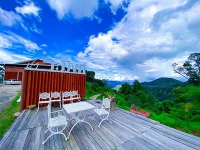 บรรยากาศ ไร่ชาระมิงค์