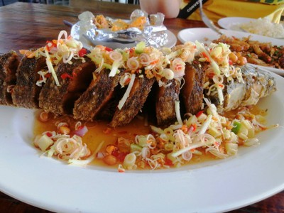 ปลาช่อนลุยสวน