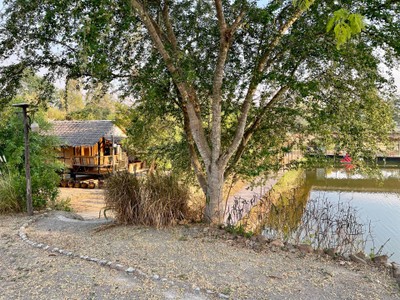 บริเวณโดยรอบ