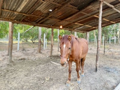 บริเวณโดยรอบ