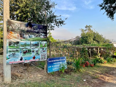 บริเวณโดยรอบ