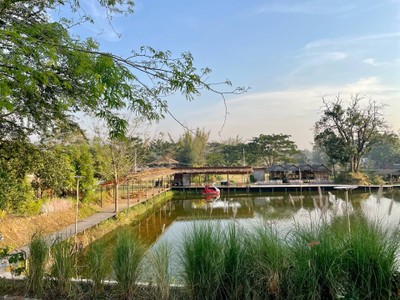 บริเวณโดยรอบ