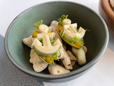 Pre amuse bouche