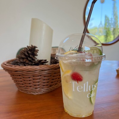 Yuzu Stella