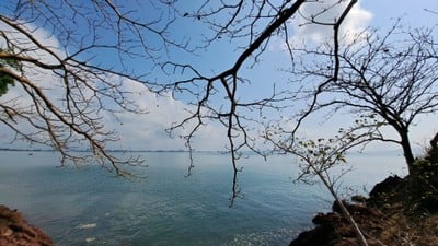 ลานหินสีชมพู
