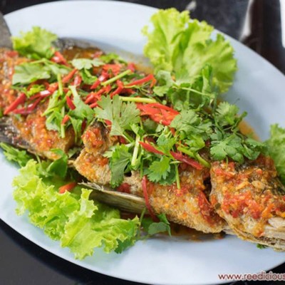 MENU_2099525CQ_1675737546