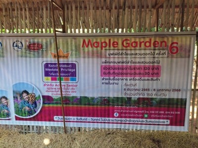 อัตราค่าบริการ