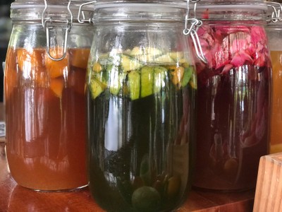 Kombucha
