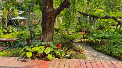 บรรยากาศ