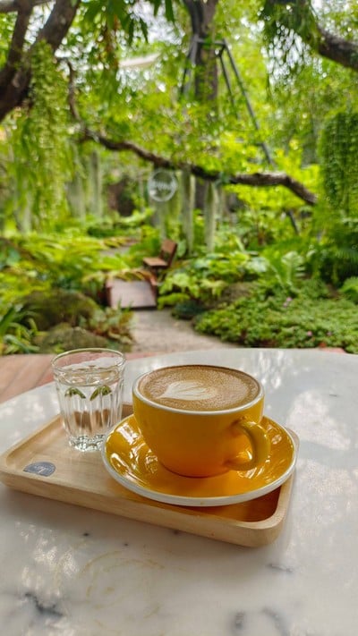 ลาเต้ร้อน