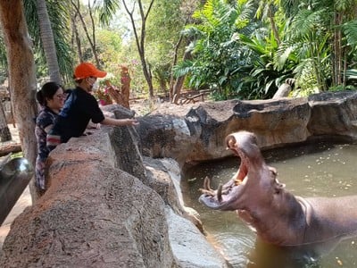 บรรยากาศ