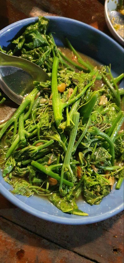 ผัดยอดมะระน้ำมันหอย