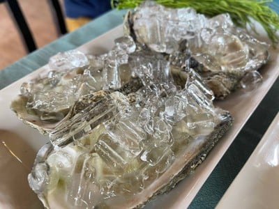 หอยนางรมสด