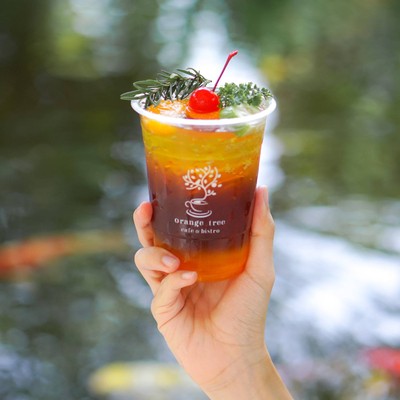 orange tree mystery