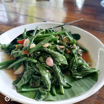 ยอดฟักแม้วผัดน้ำมันหอย